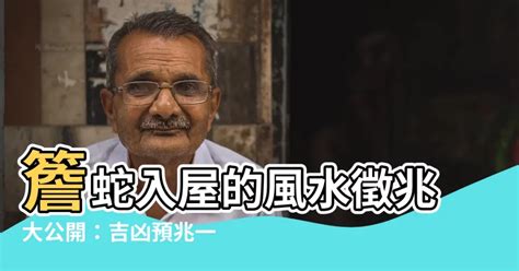 簷蛇入屋風水 墳部首